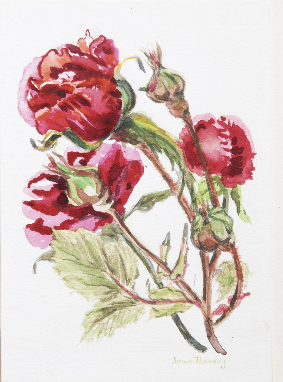 Spray de rose rouge, 2001 - Joan Thewsey