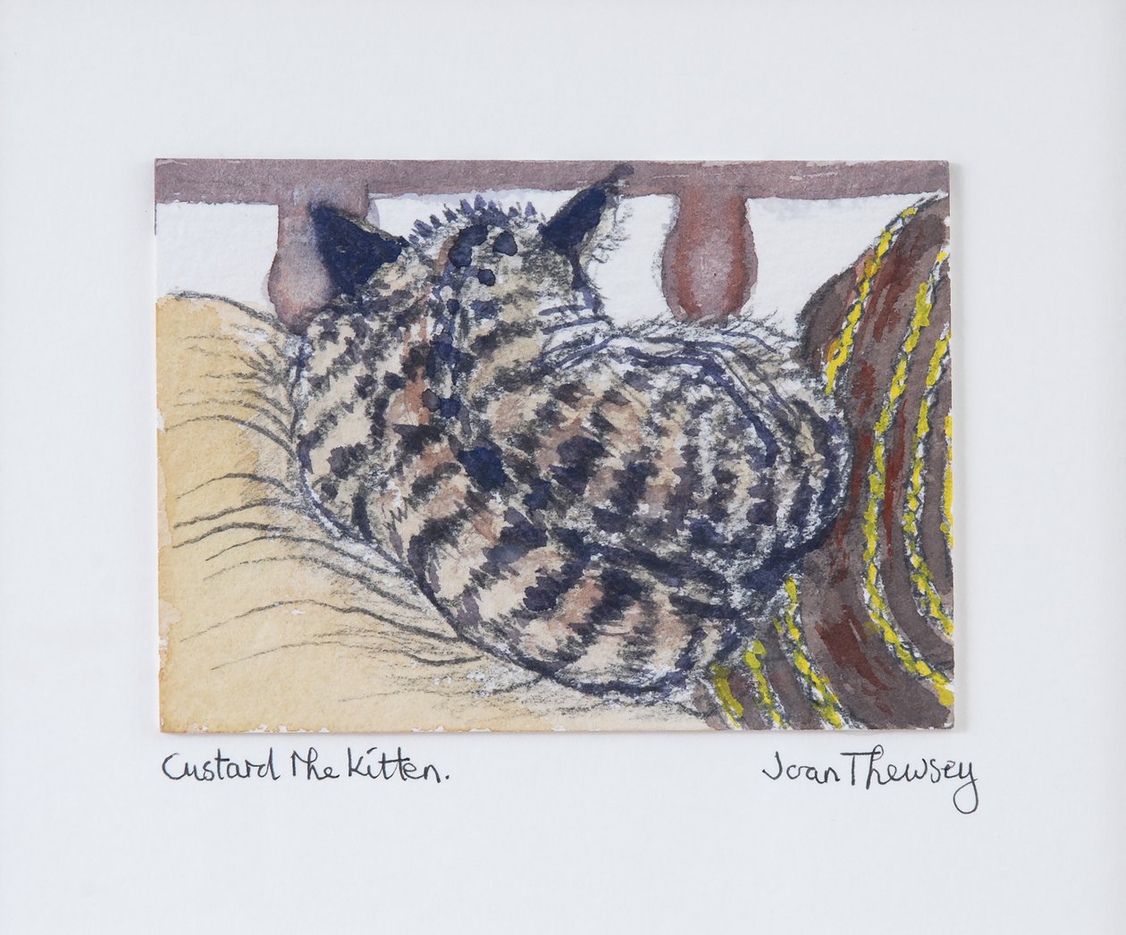 Custard le Chaton, 2005 - Joan Thewsey