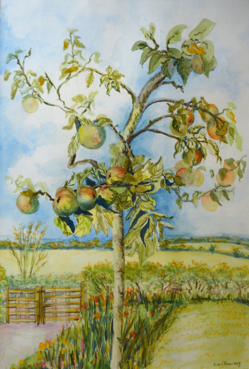 Le pommier - Joan Thewsey