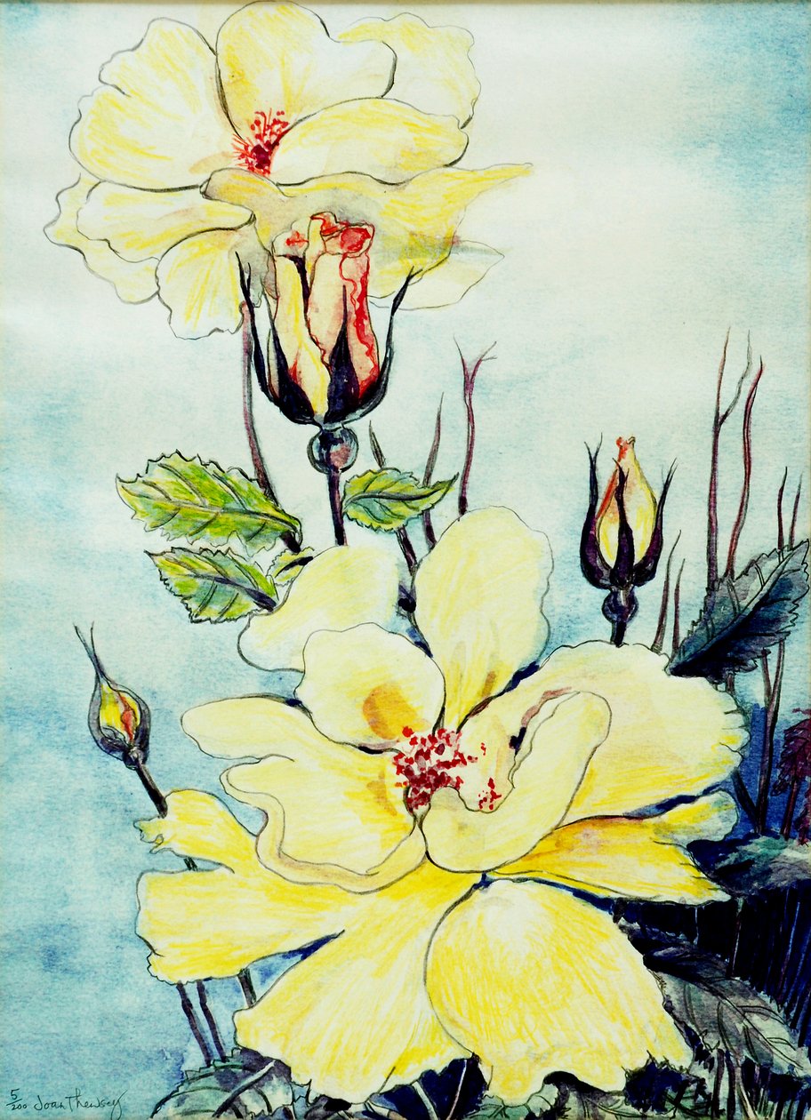 Rose jaune dans une brise du Suffolk - Joan Thewsey