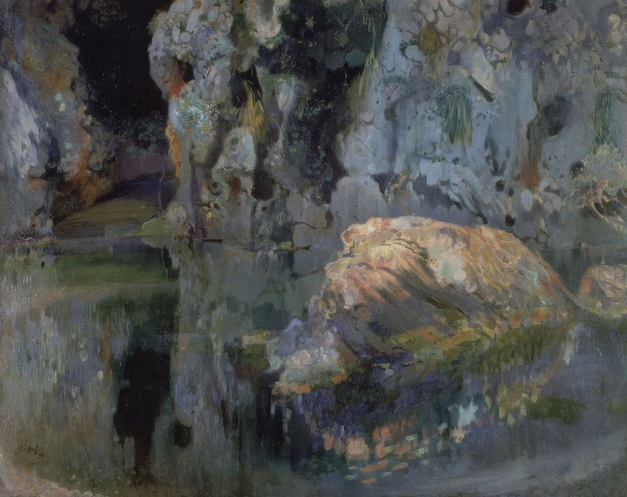 El roc de l’estany - Joaquim Mir i Trinxet