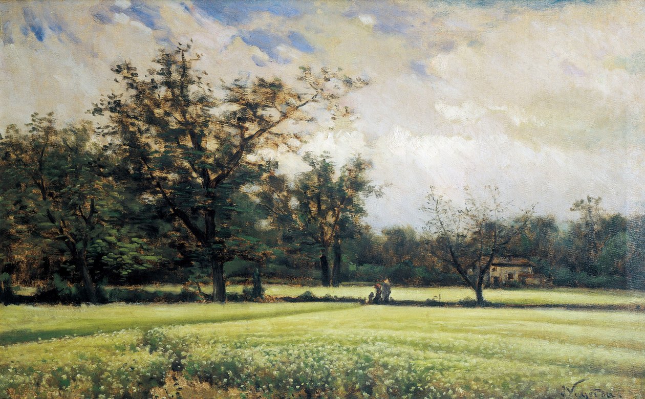 Sarrasin en fleur - Joaquin Vayreda