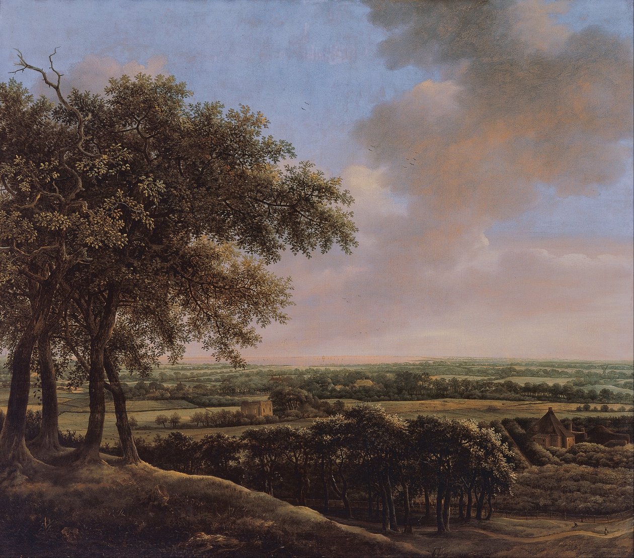 Paysage avec quatre arbres - Johan de Lagoor