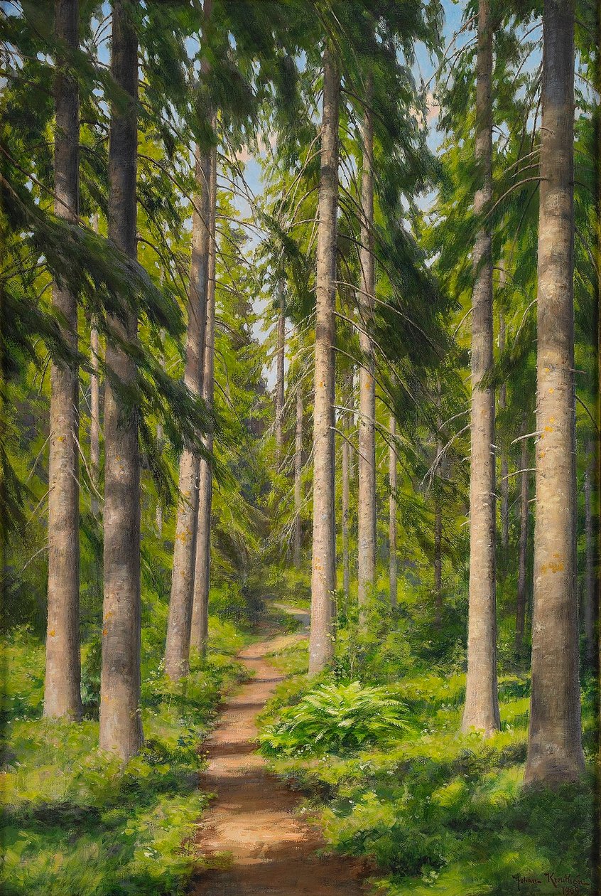 Sentier forestier ensoleillé - Johan Fredrik Krouthen
