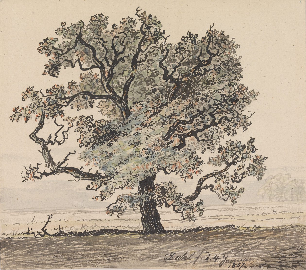 Pin sur une plaine - Johan Christian Dahl