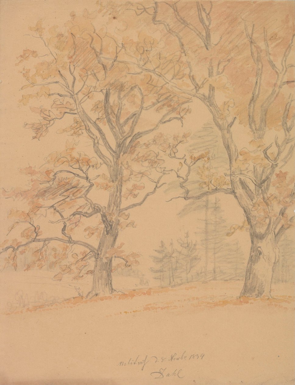 Deux chênes aux feuilles d