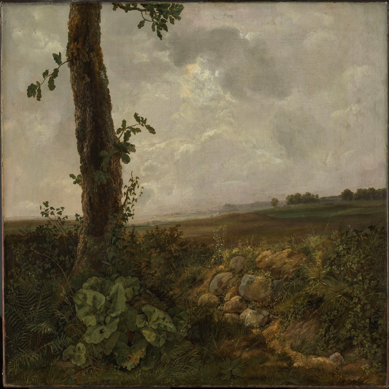 Vue près de Prestø - Johan Christian Dahl
