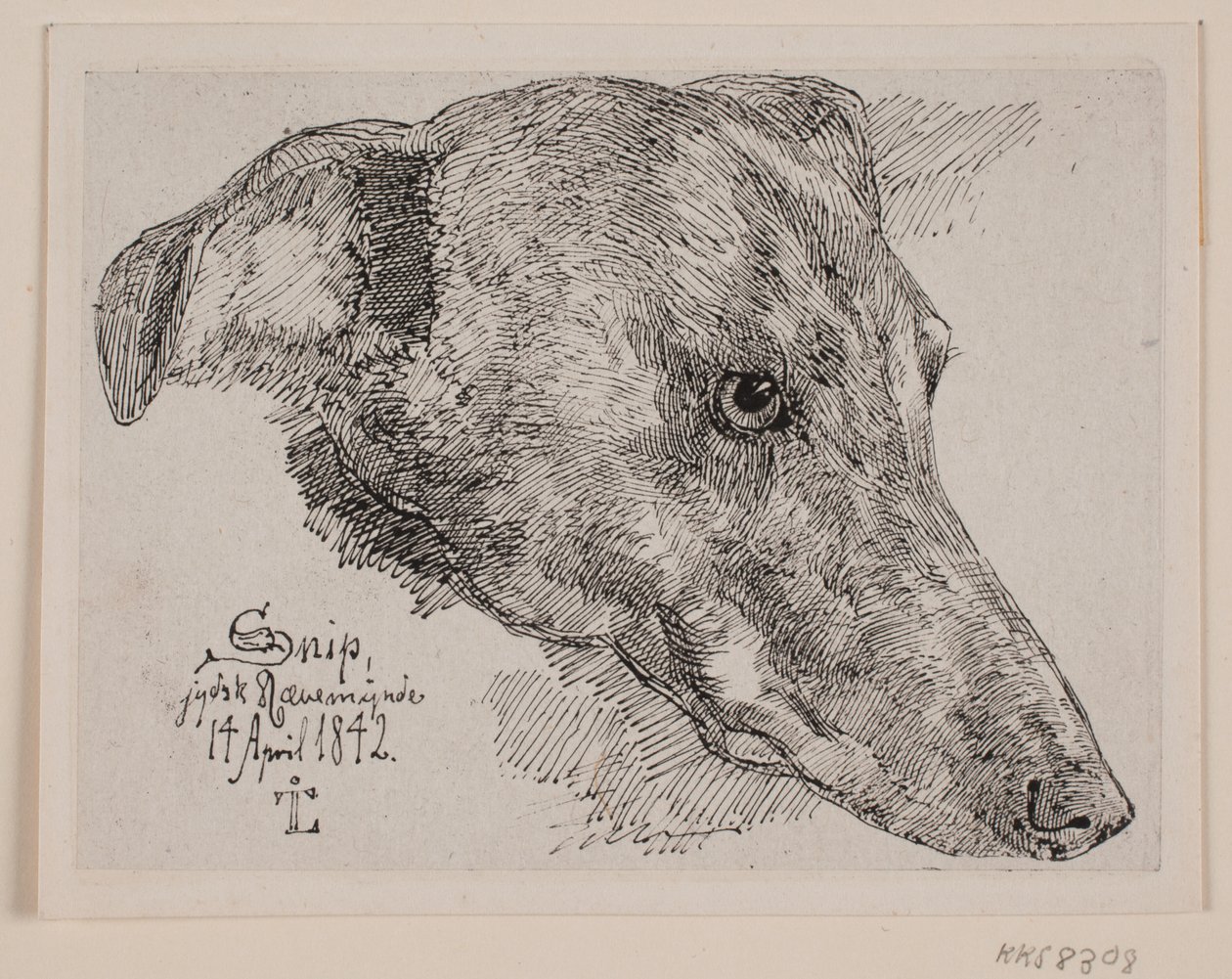 Danois : Hundehoved, Snip - Johan Lundbye