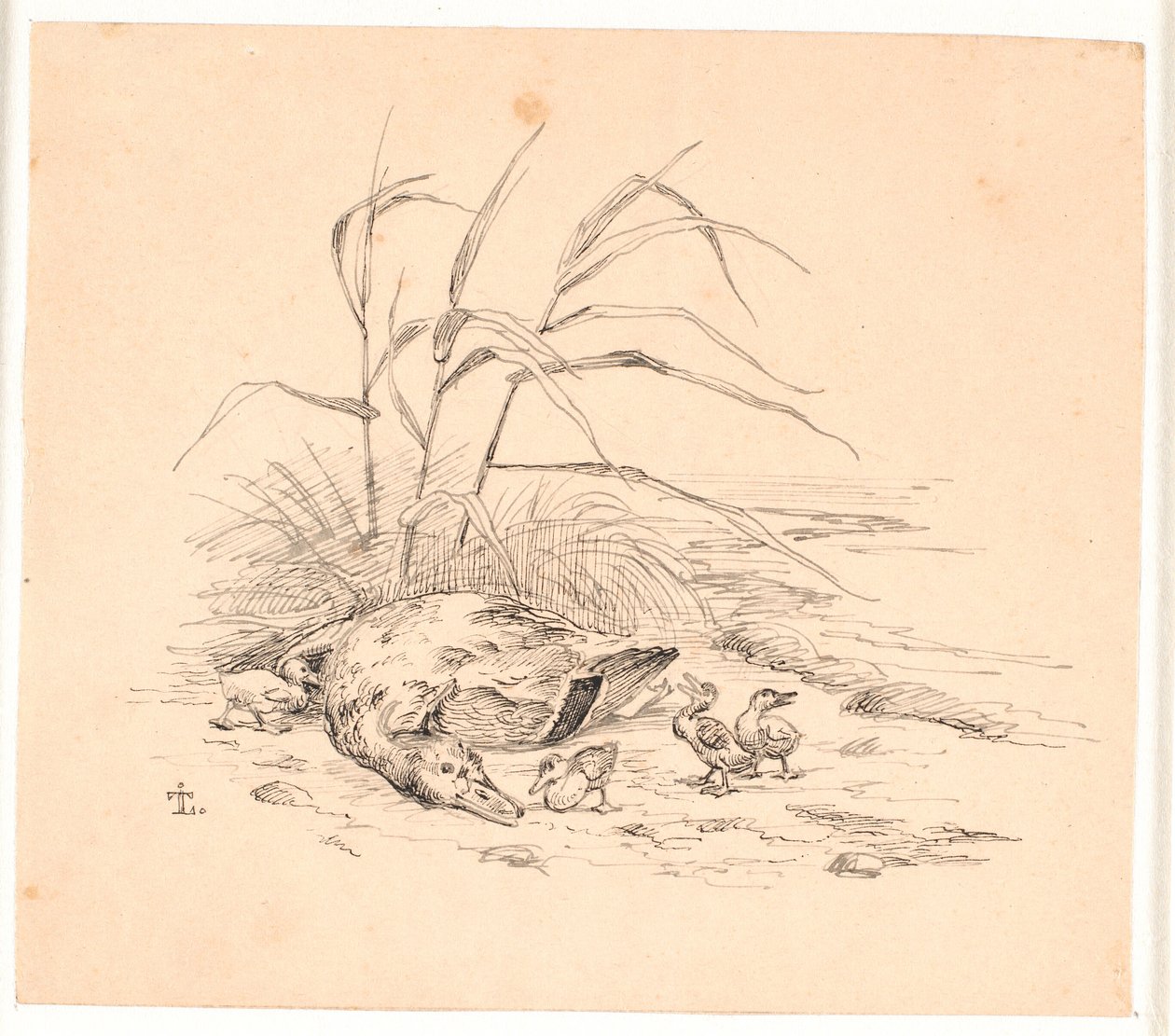 Le canard sauvage tué. Illustration pour "Fabler for Børn" de Kaalund. - Johan Thomas Lundbye