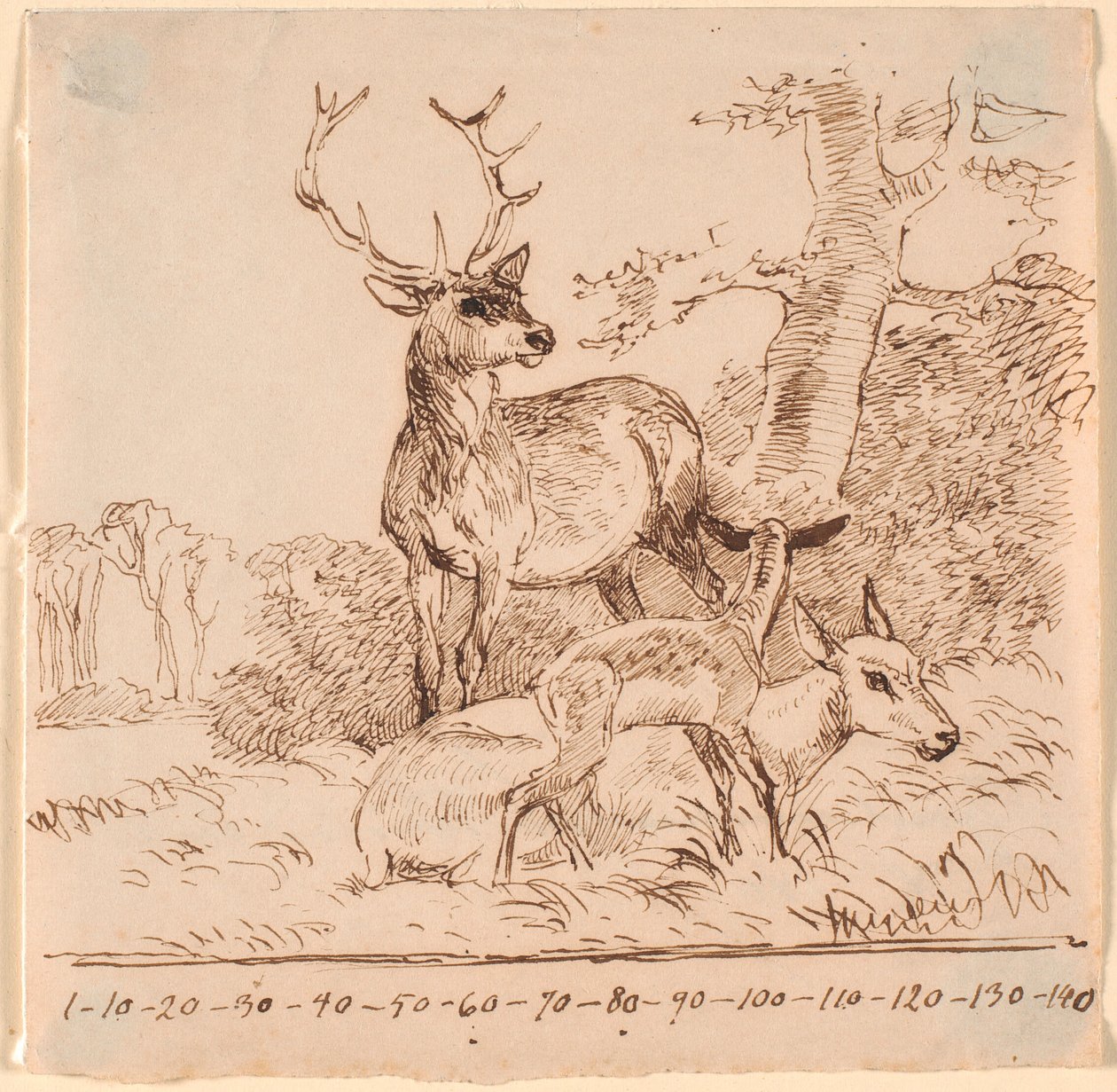 Un cerf, une biche et leurs faons - Johan Thomas Lundbye