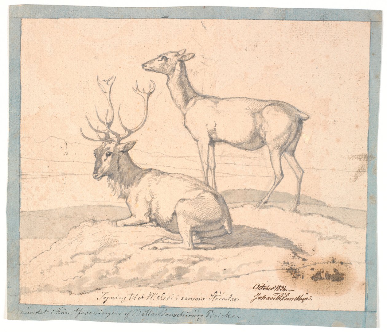 Un cerf couché et une biche debout - Johan Thomas Lundbye