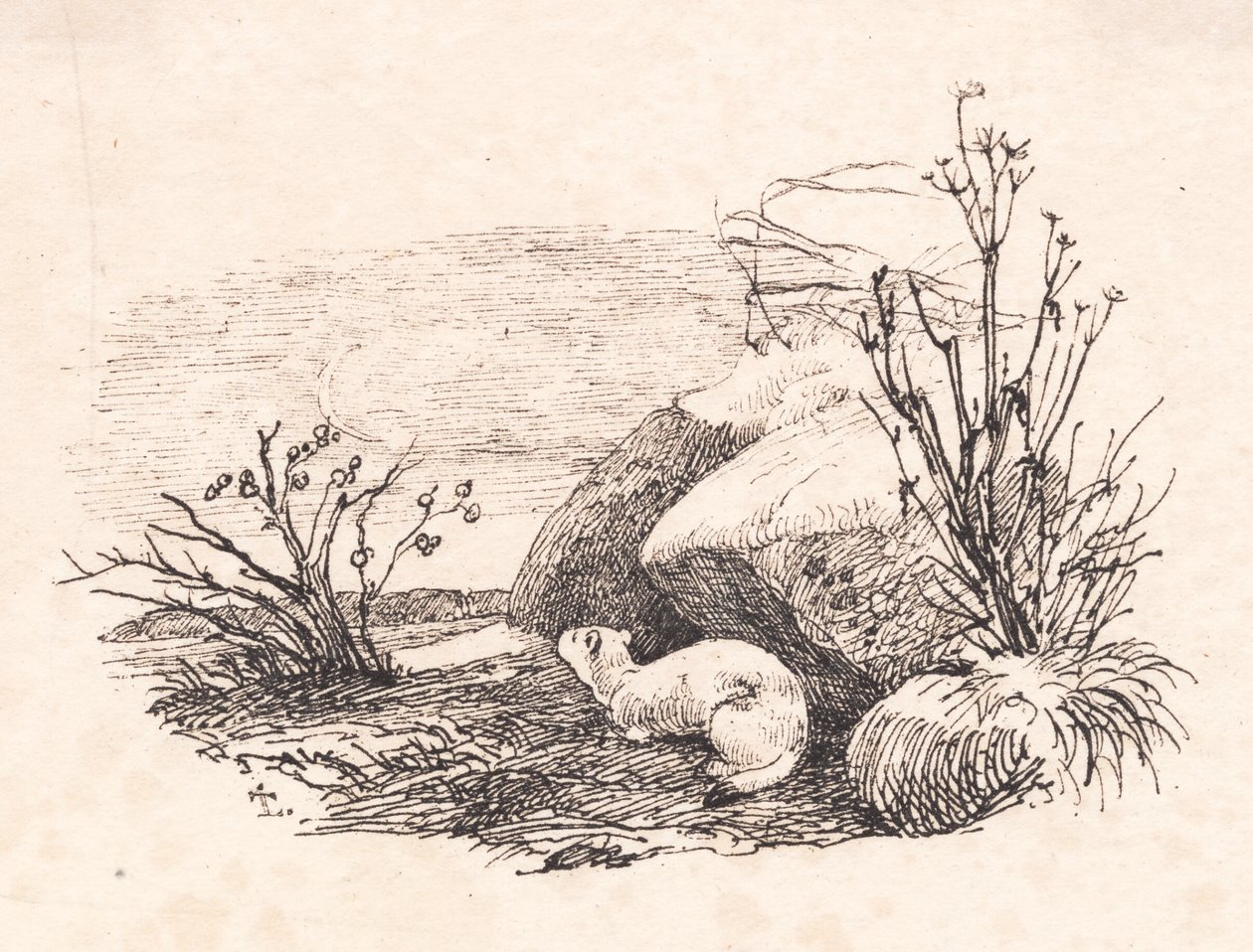 Le chat de loutre - Johan Thomas Lundbye