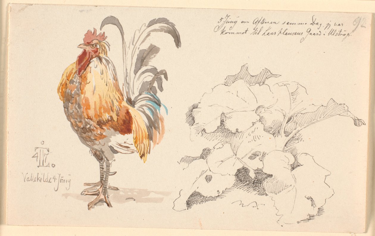 Feuille d