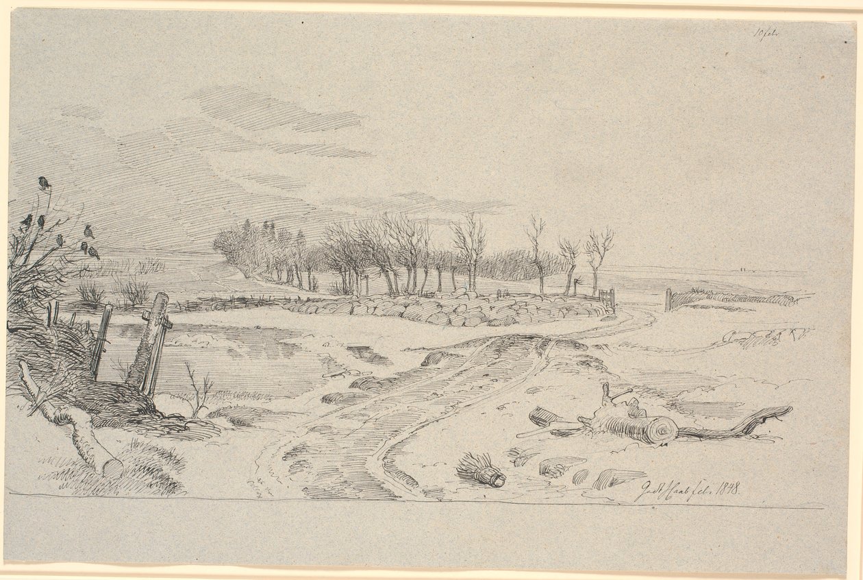 Paysage d