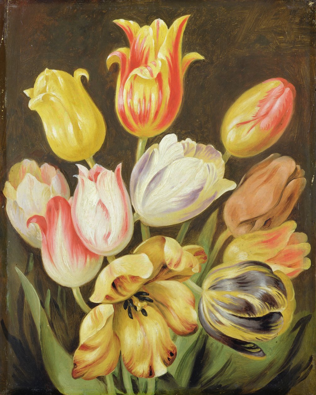 Étude de fleurs - Johann Friedrich August Tischbein