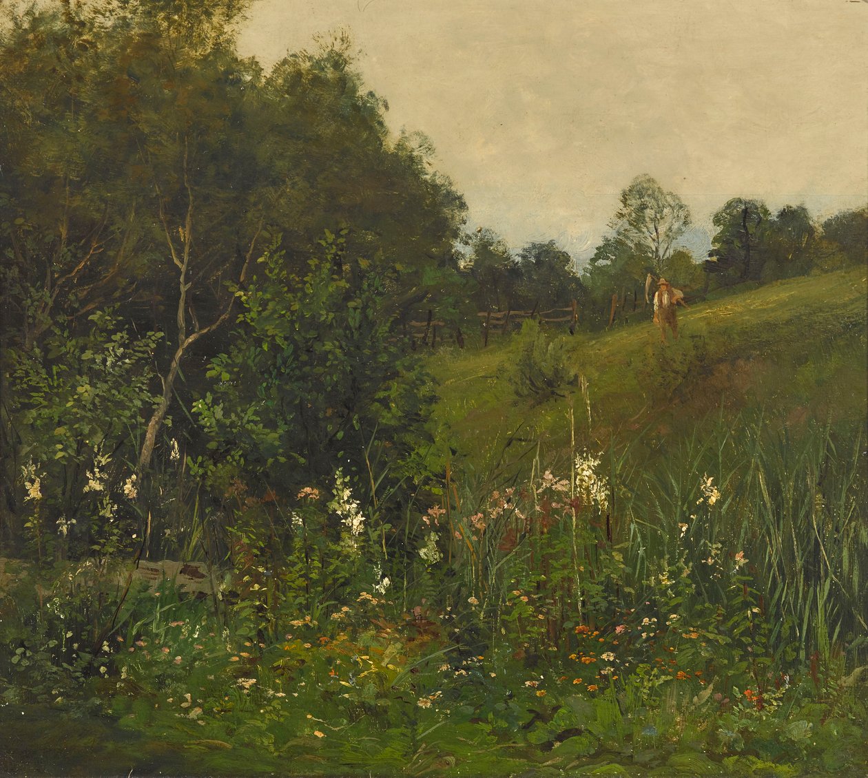 Paysage d