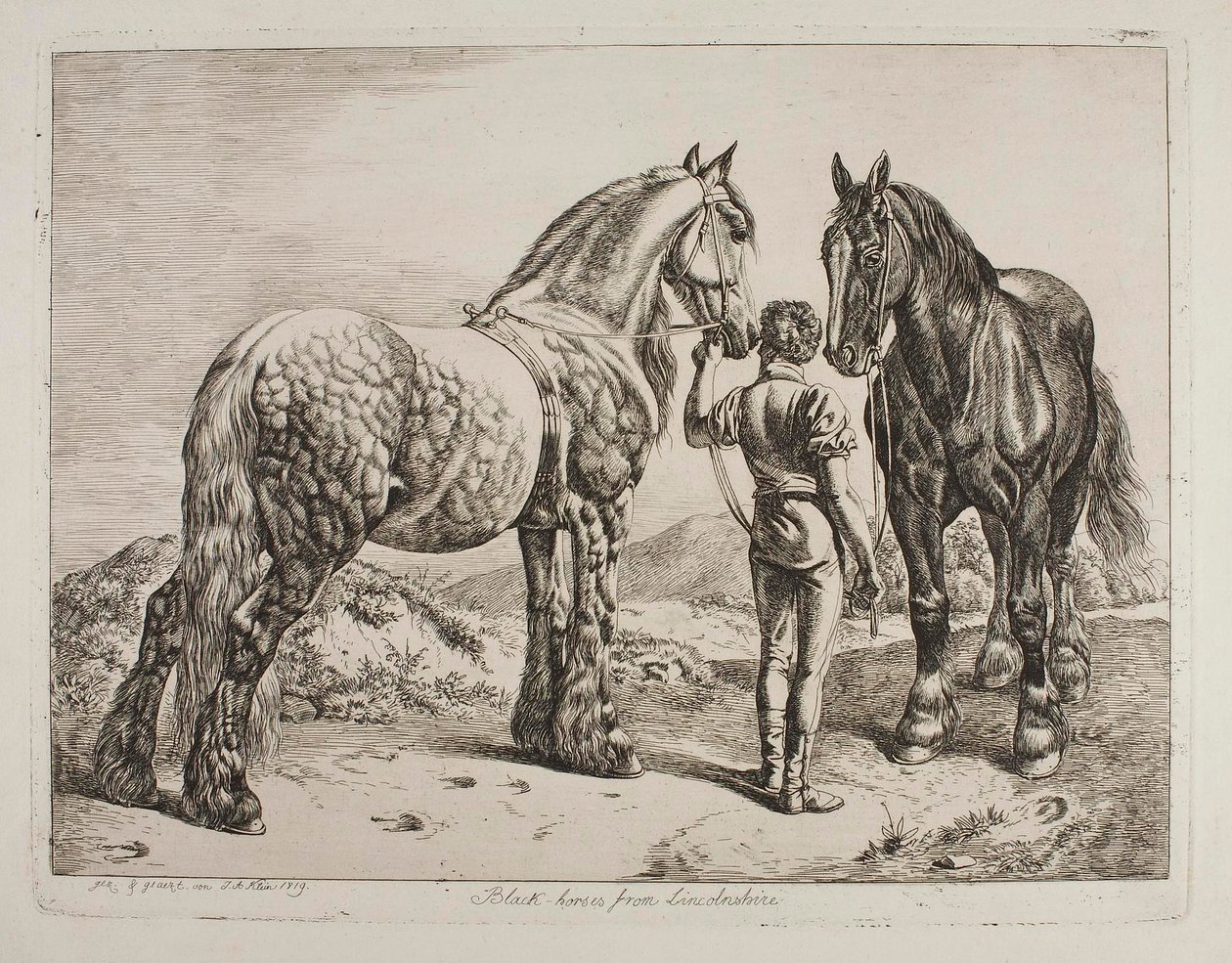Les « Black-Horses » du Lincolnshire - Johann Adam Klein