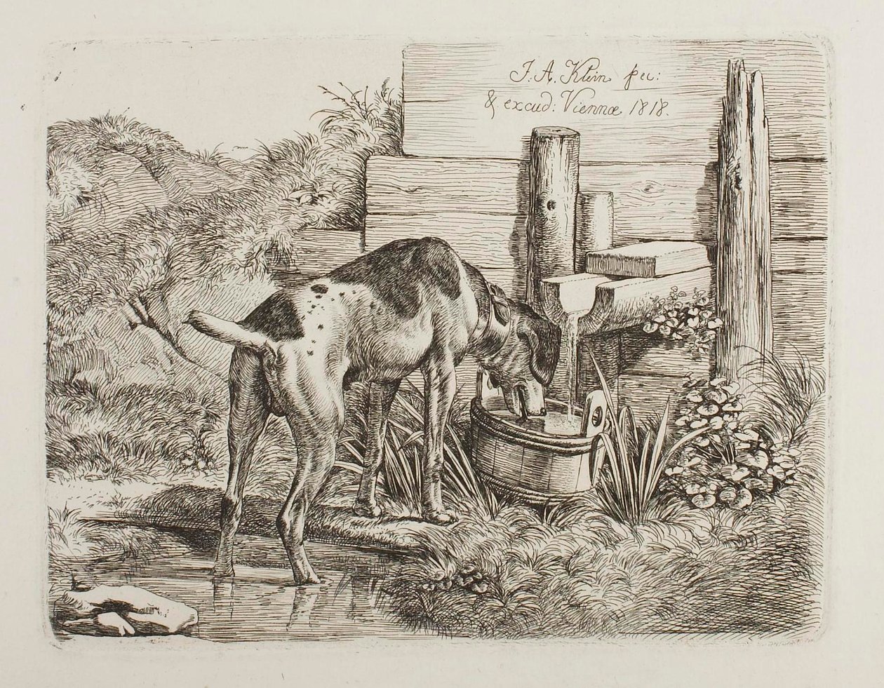 Eau potable pour chiens - Johann Adam Klein