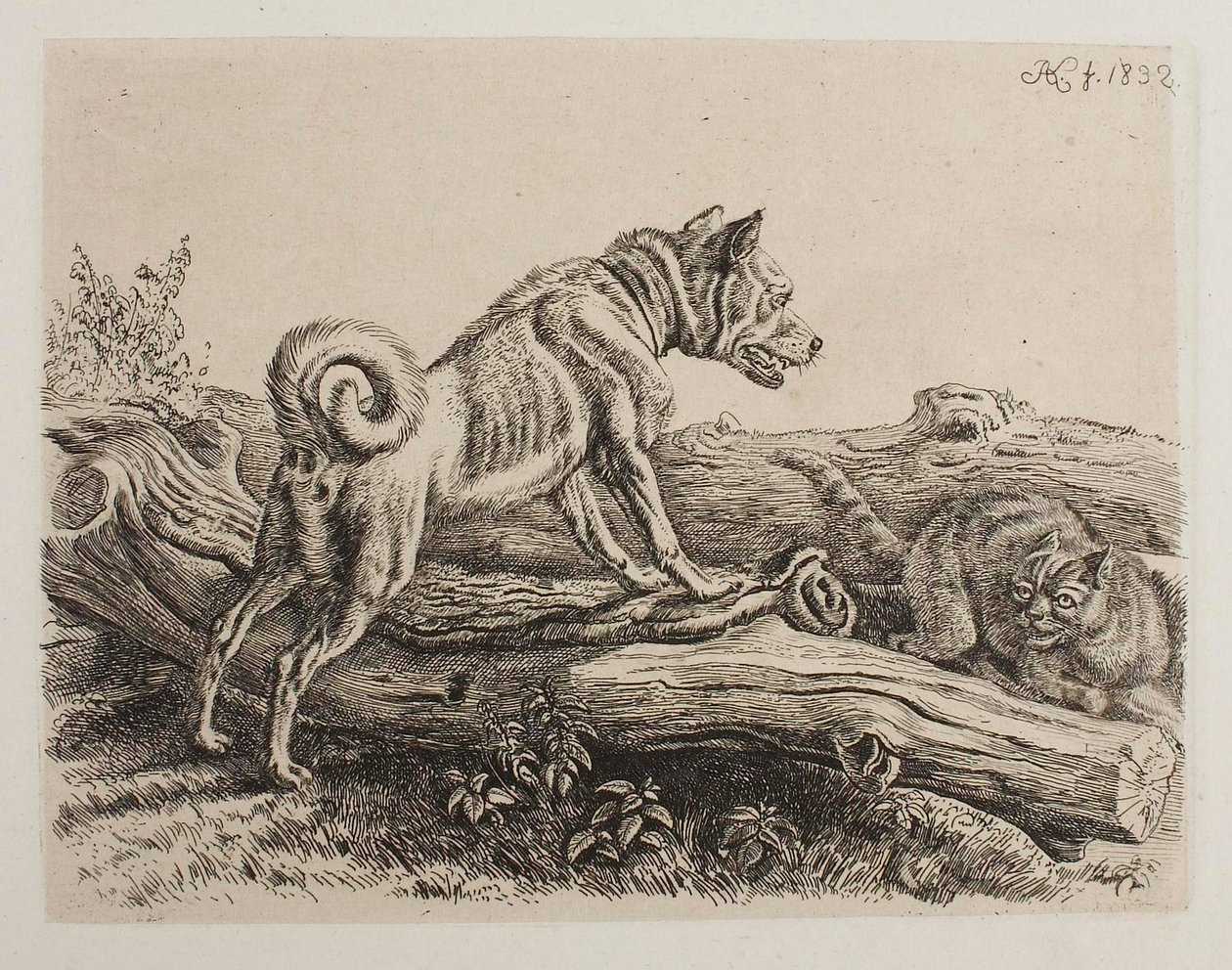 [Pas encore de titre EN] - Johann Adam Klein