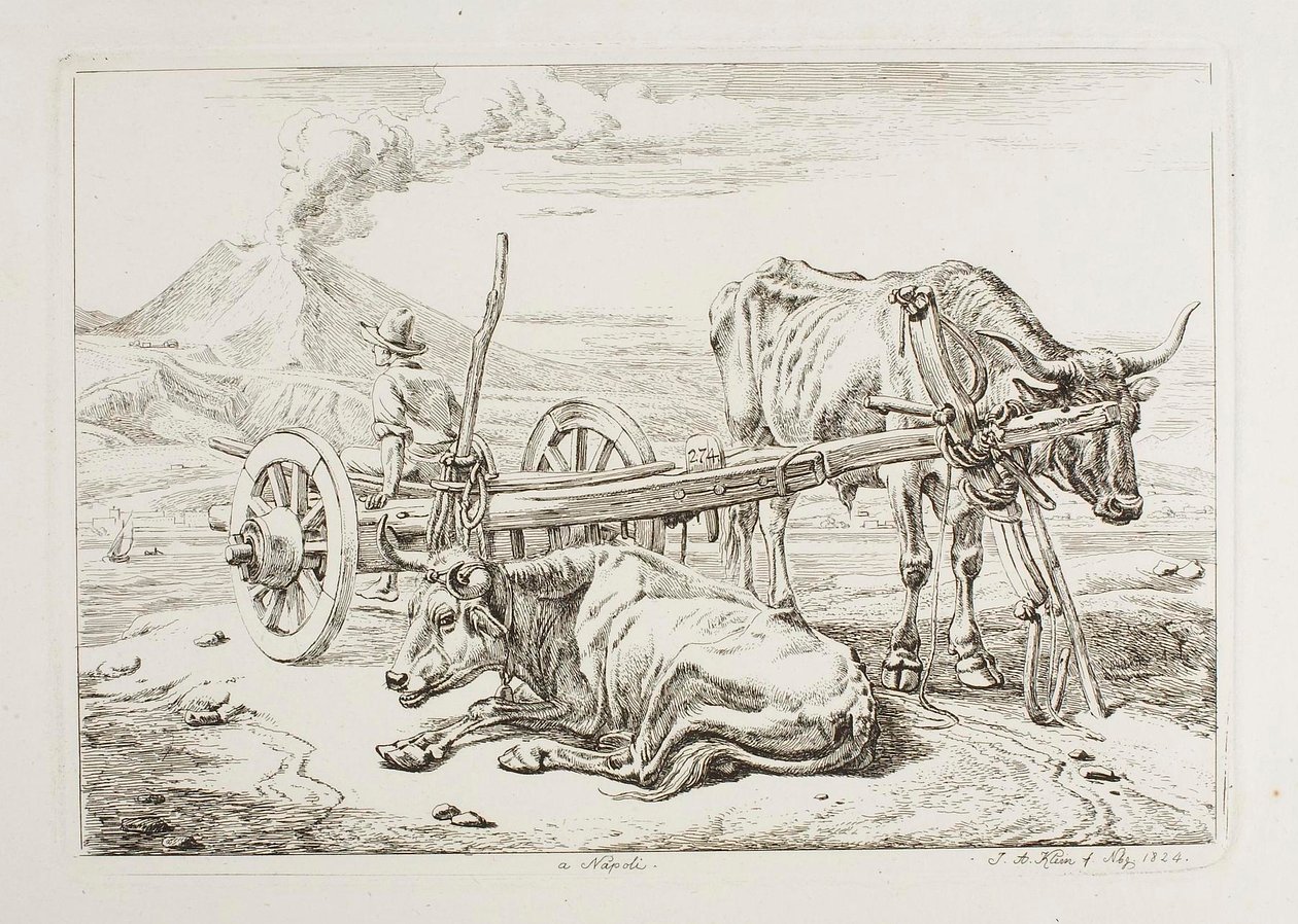 À Naples (bœufs et une charrette à Naples) - Johann Adam Klein