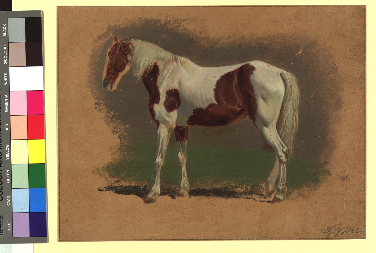 Pferdestudie - Johann Adam Klein