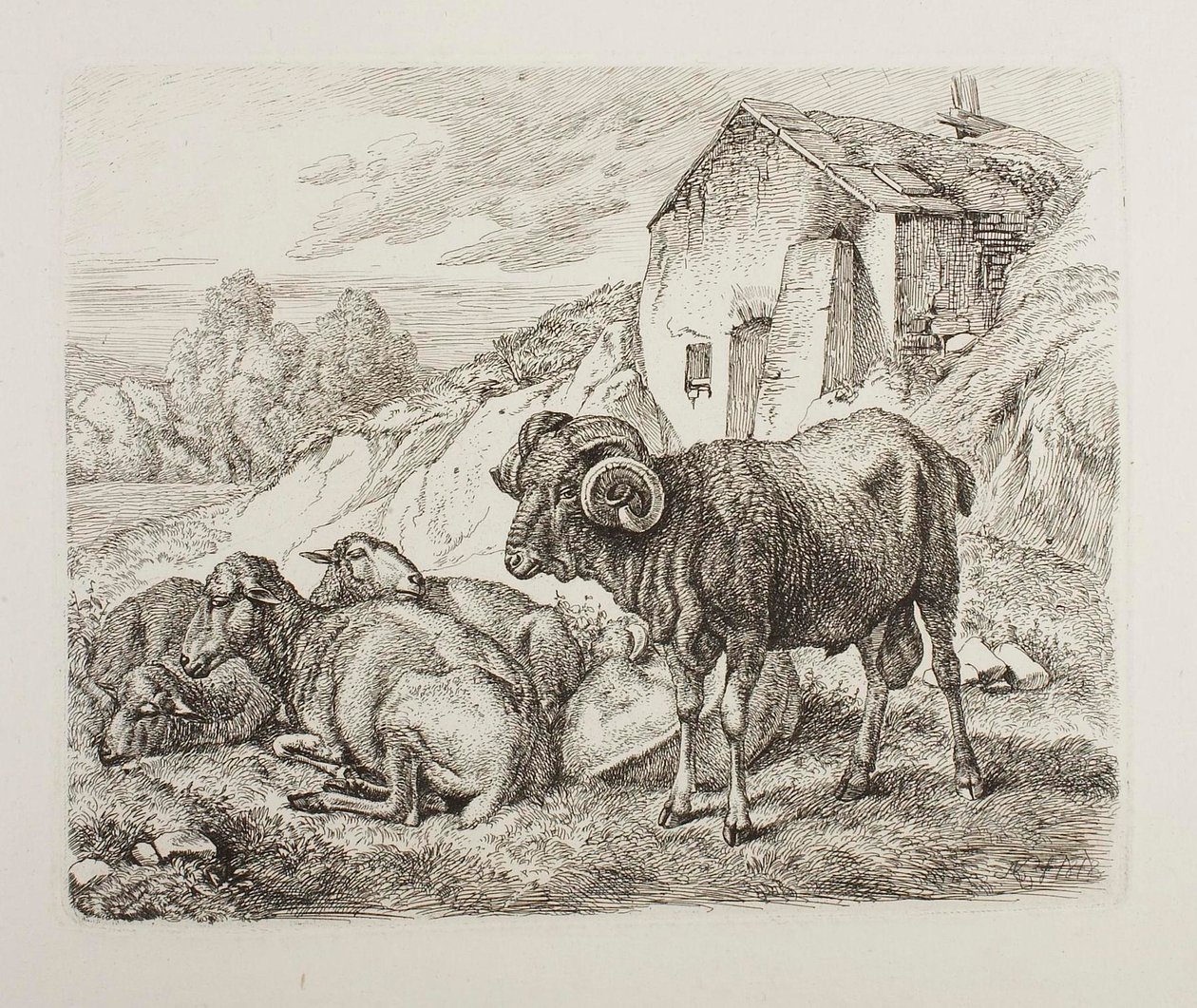 Un bélier et un mouton derrière une maison - Johann Adam Klein