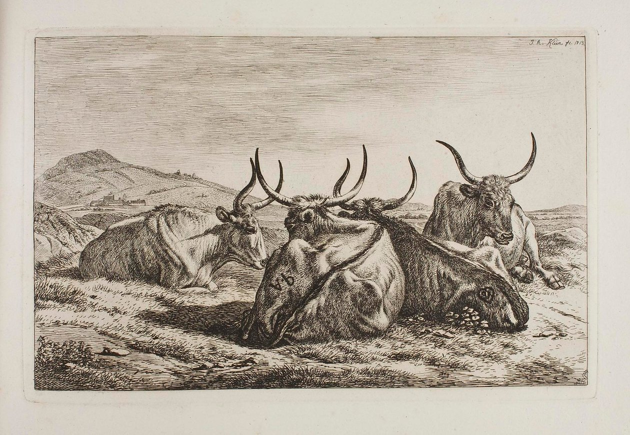 Bœufs couchés - Johann Adam Klein
