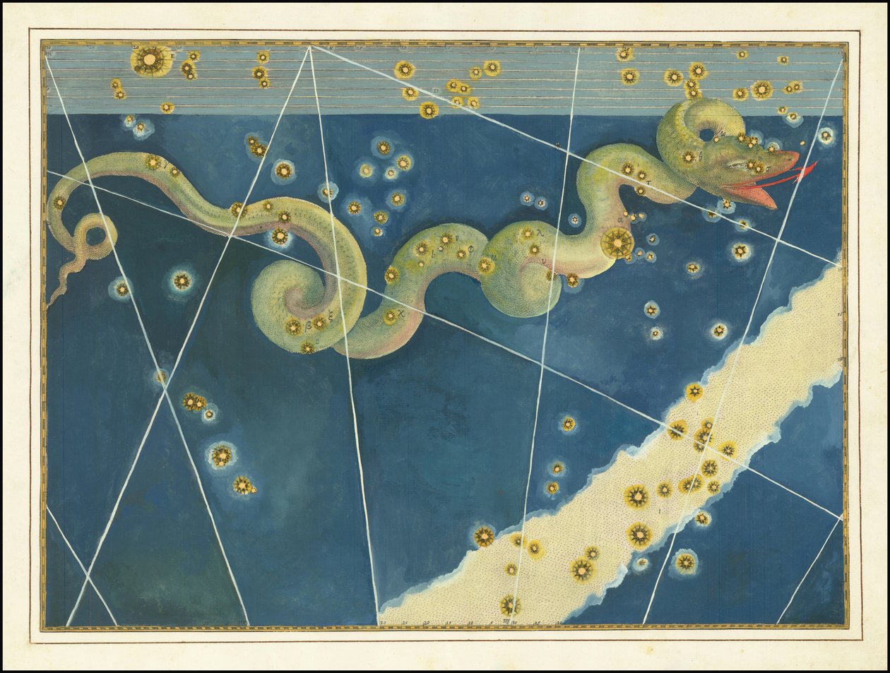 Hydra - Johann Bayer - Johann Bayer