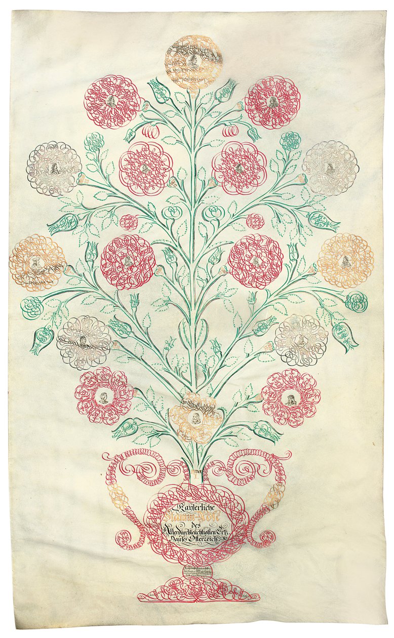 "La Rose", un arbre généalogique présenté à l