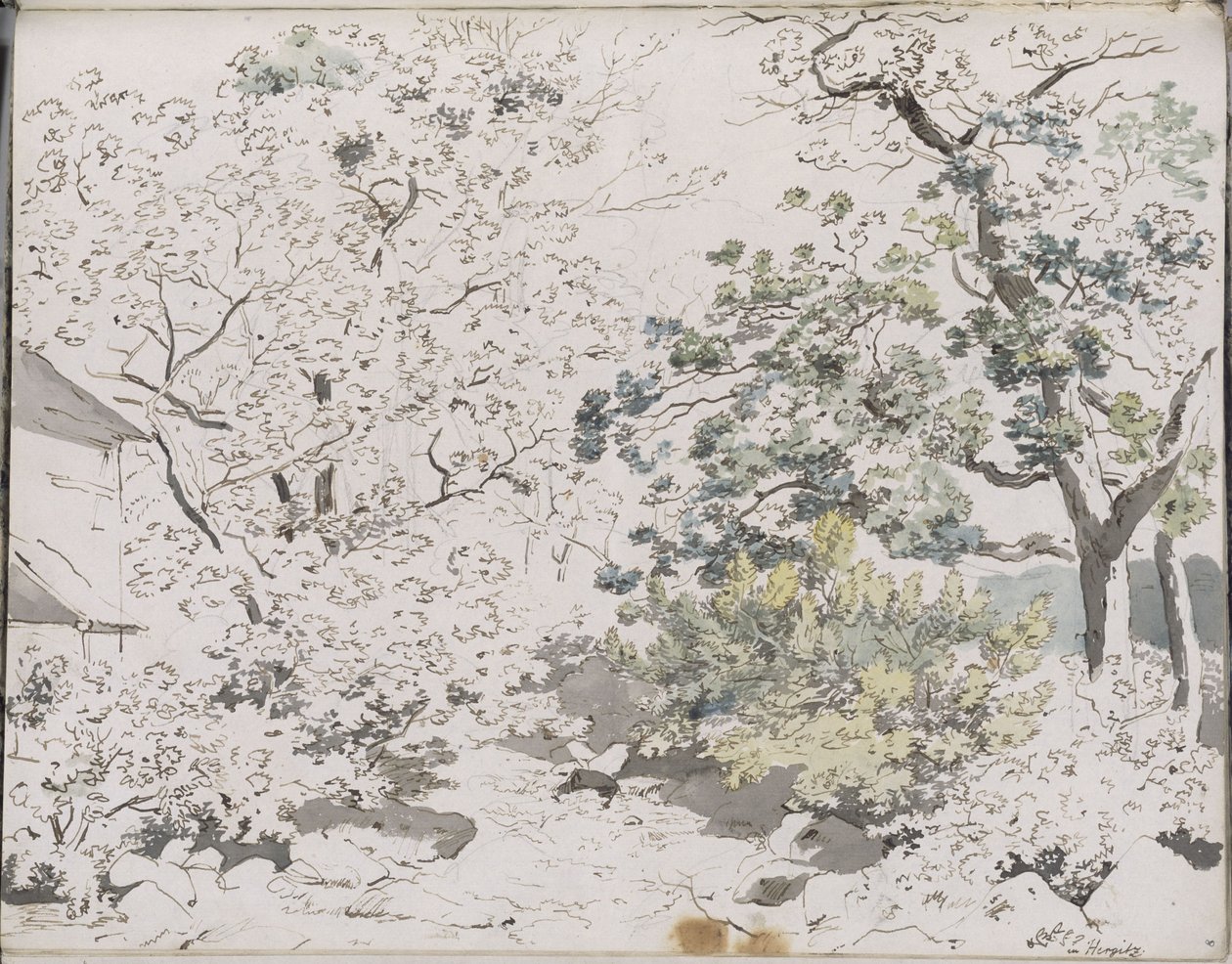 Arbres feuillus sur un sol rocheux, à côté un bâtiment : Hergitz - Johann Christian Reinhart