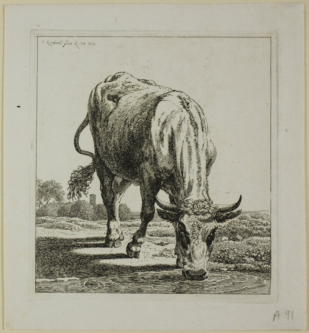 Vache buvant, de Die Zweite Thierfolge - Johann Christian Reinhart