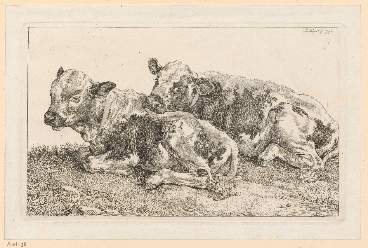 Deux veaux - Johann Christian Reinhart