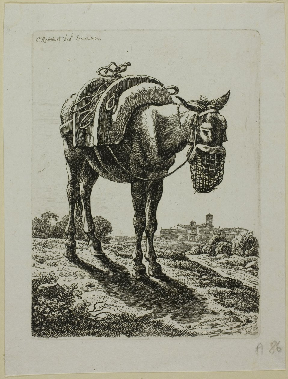 Mule nourrie - Devant, de Die Zweite Thierfolge - Johann Christian Reinhart