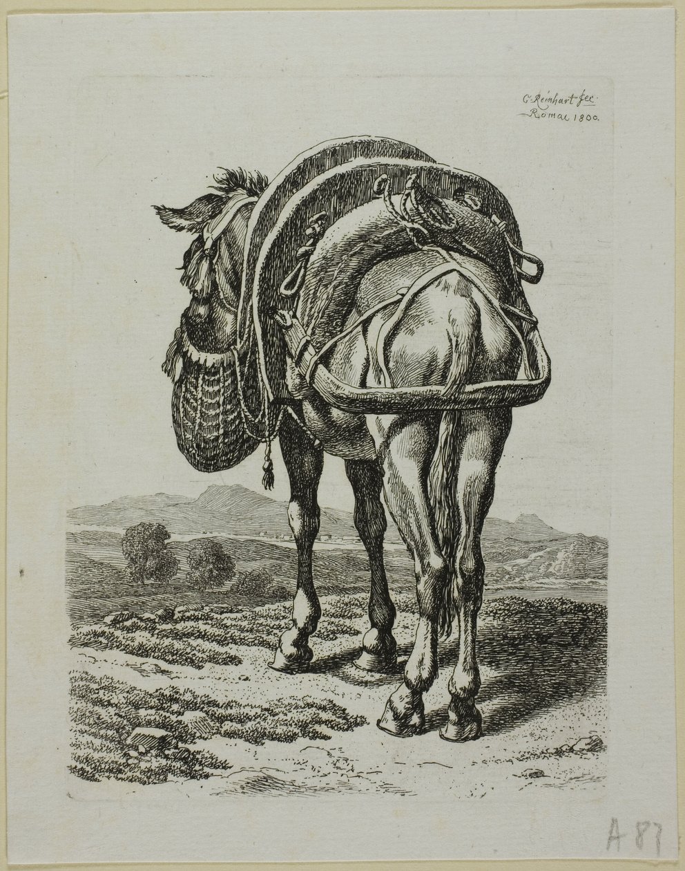Mule nourrie - Arrière, de Die Zweite Thierfolge - Johann Christian Reinhart