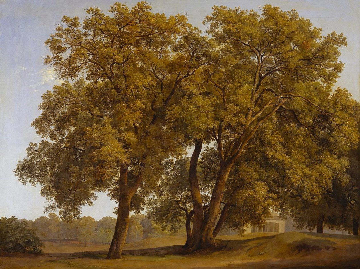 Les arbres des jardins de la Villa Borghese - Johann Christian Reinhart