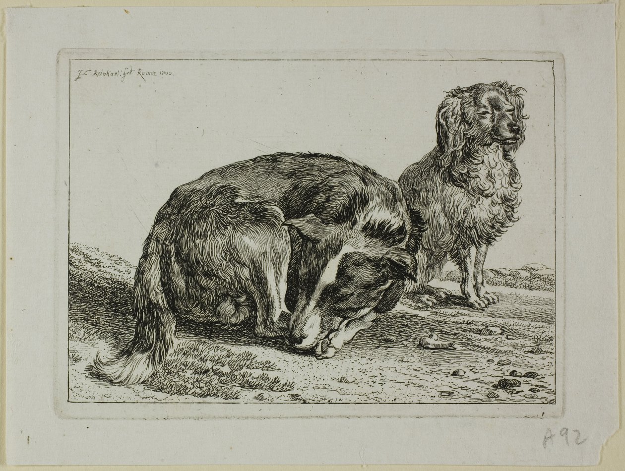 Deux chiens au repos, de Die Zweite Thierfolge - Johann Christian Reinhart