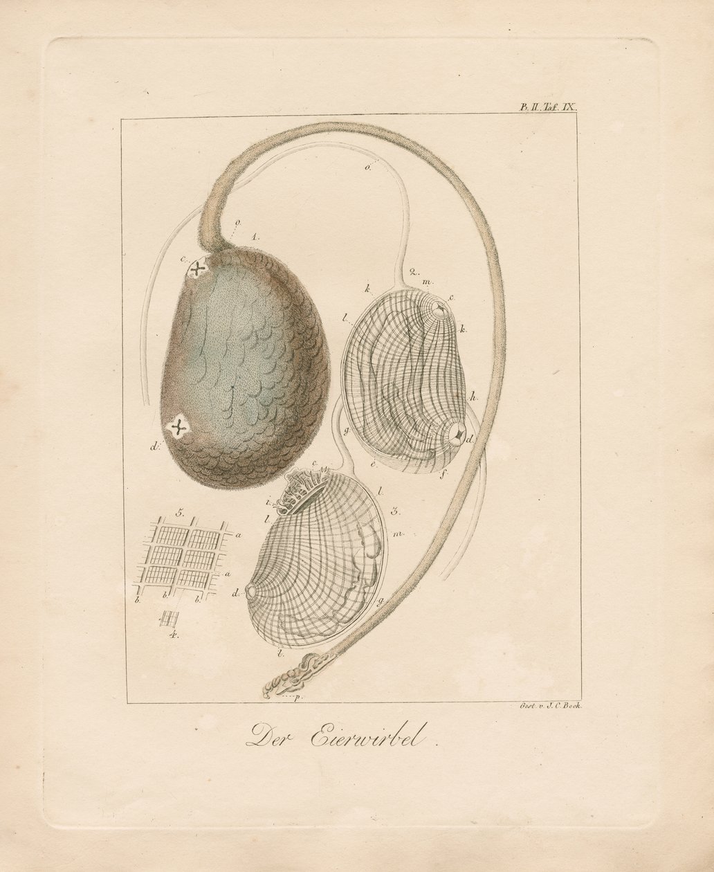  - Johann Christoph Bock