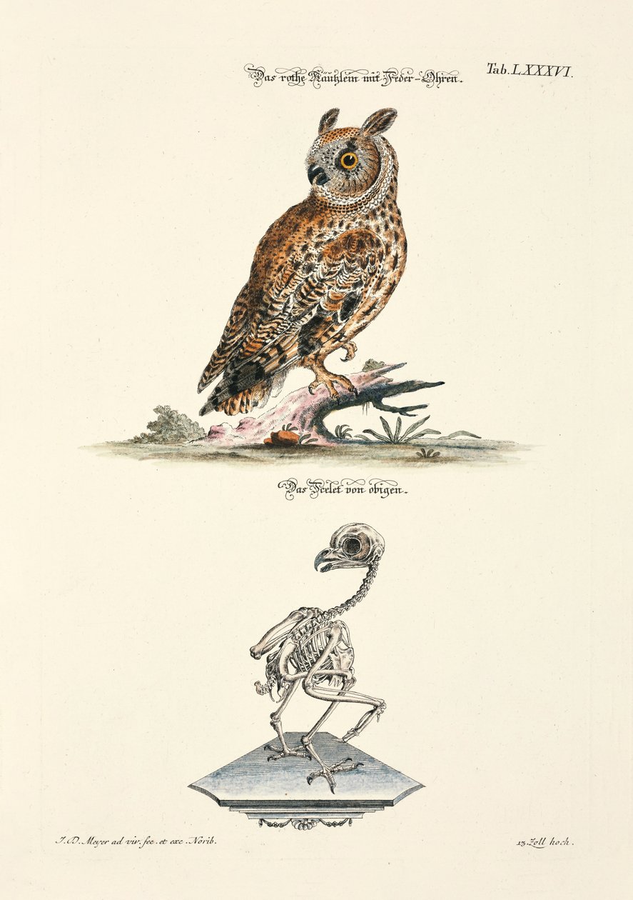  - Johann Daniel Meyer