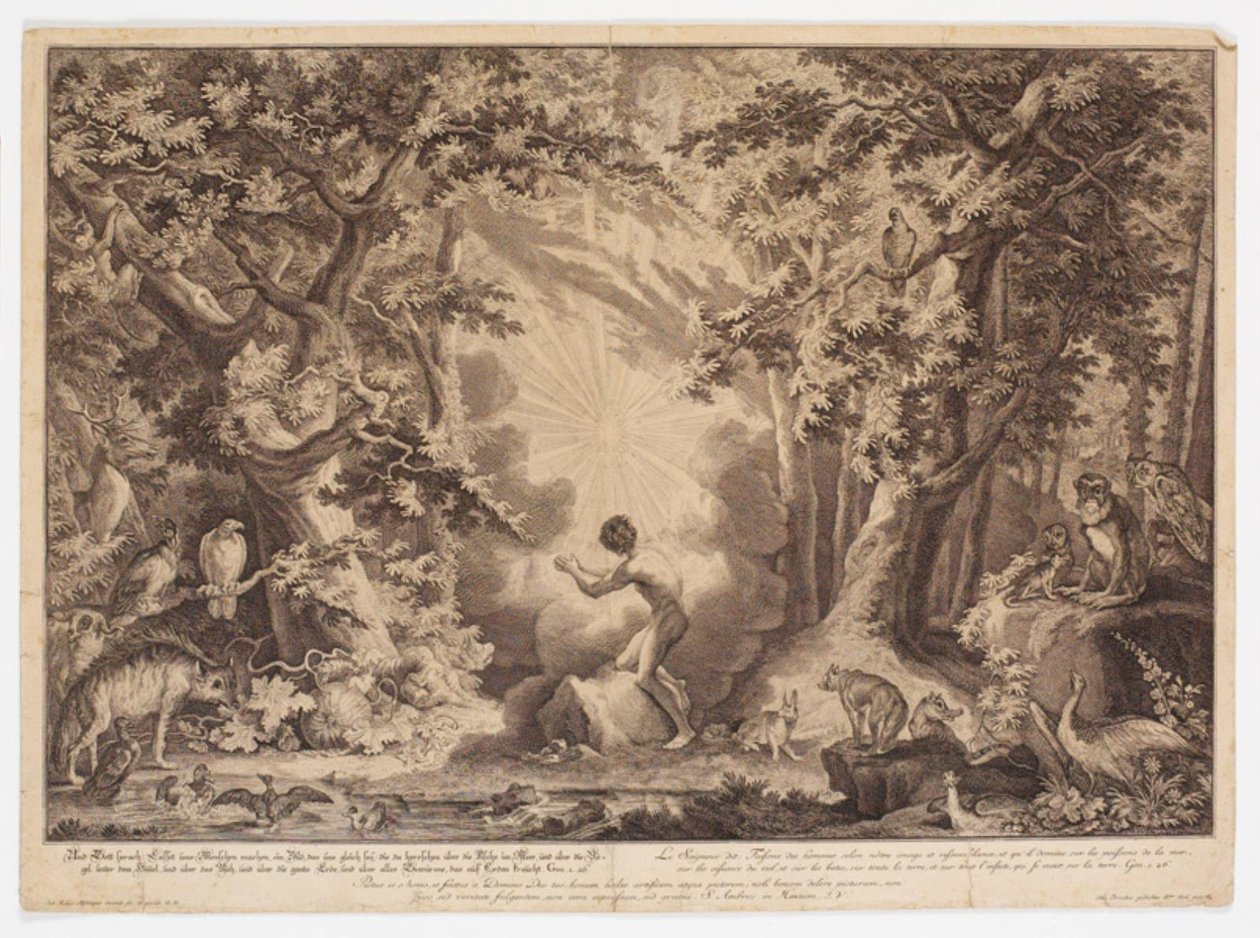 La création d