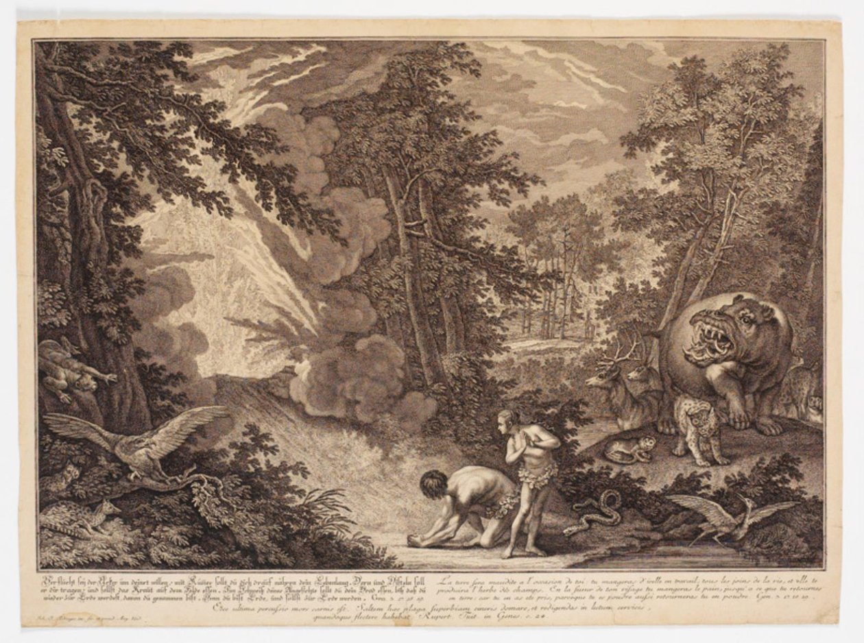 Dieu découvre qu