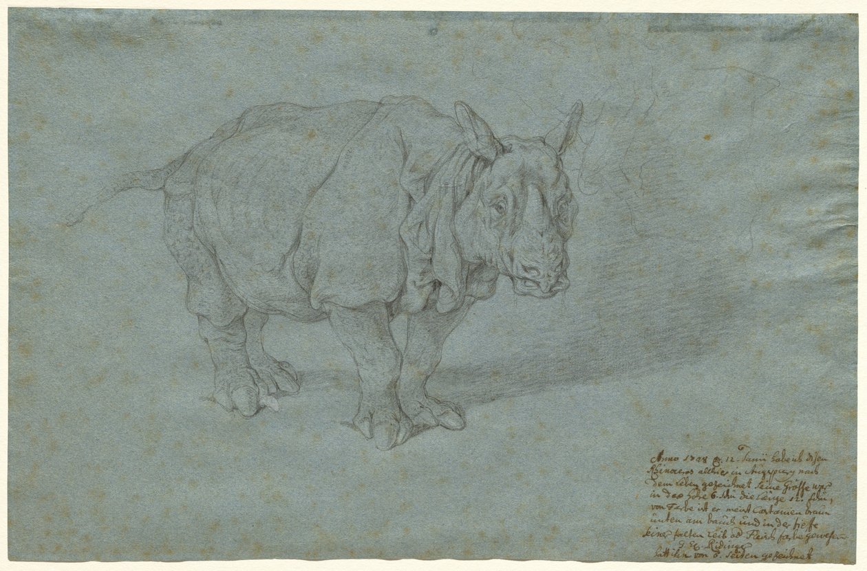 Le rhinocéros "Miss Clara" - Johann Elias Ridinger