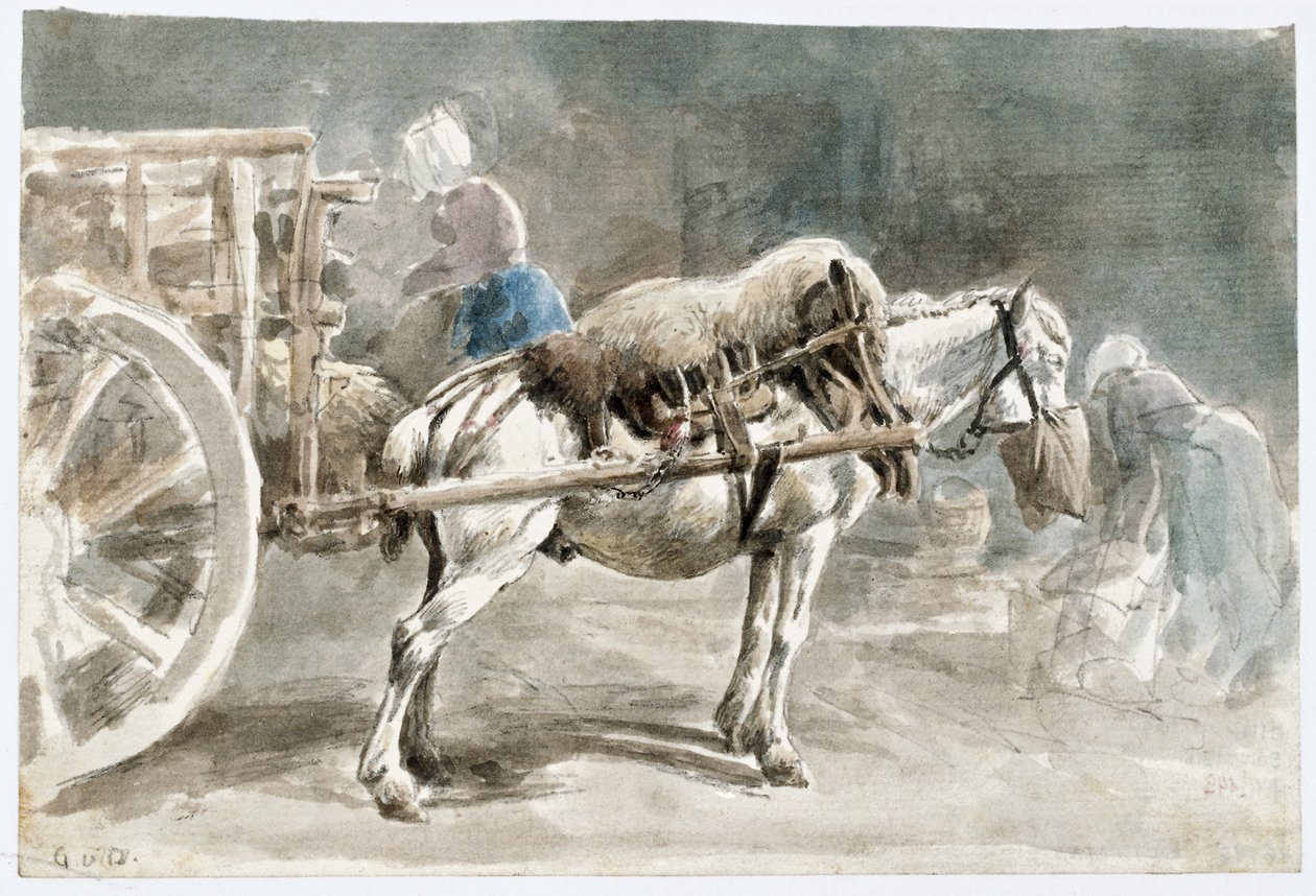 Cheval de trait en train de manger de l