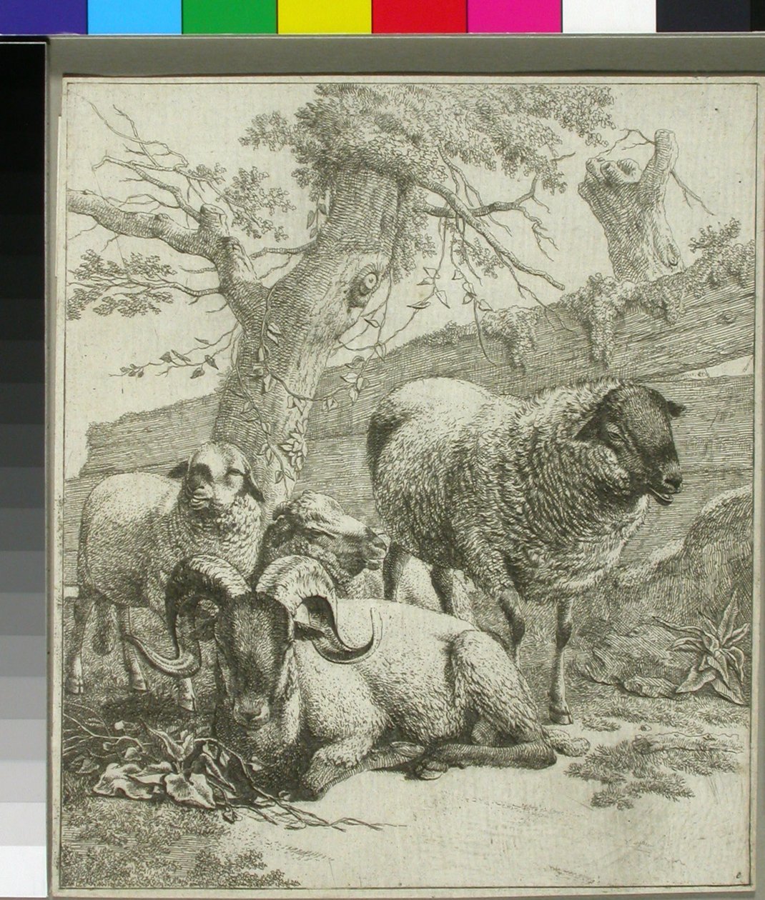 Ohne Titel - Johann Heinrich Roos
