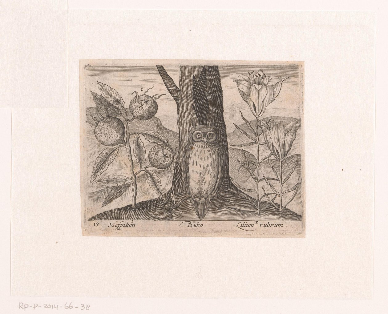 Série de gravures avec fleurs et animaux dans un paysage - Johann Hogenberg