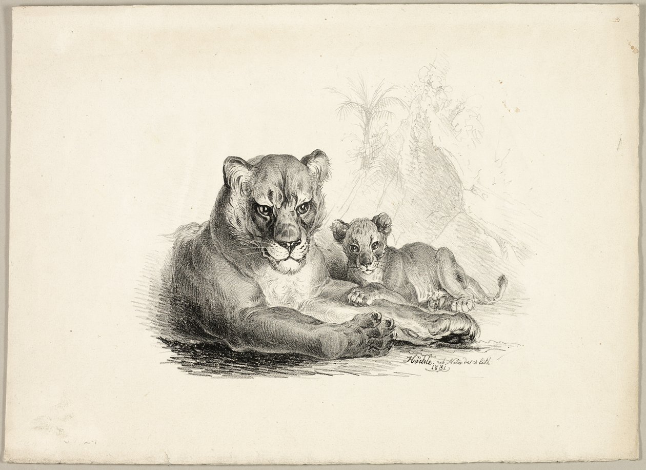 Lion avec ses petits - Johann Höchle