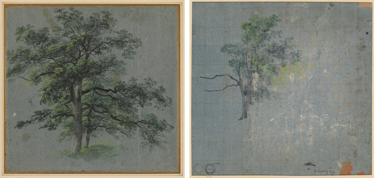 Deux arbres (recto) Études d