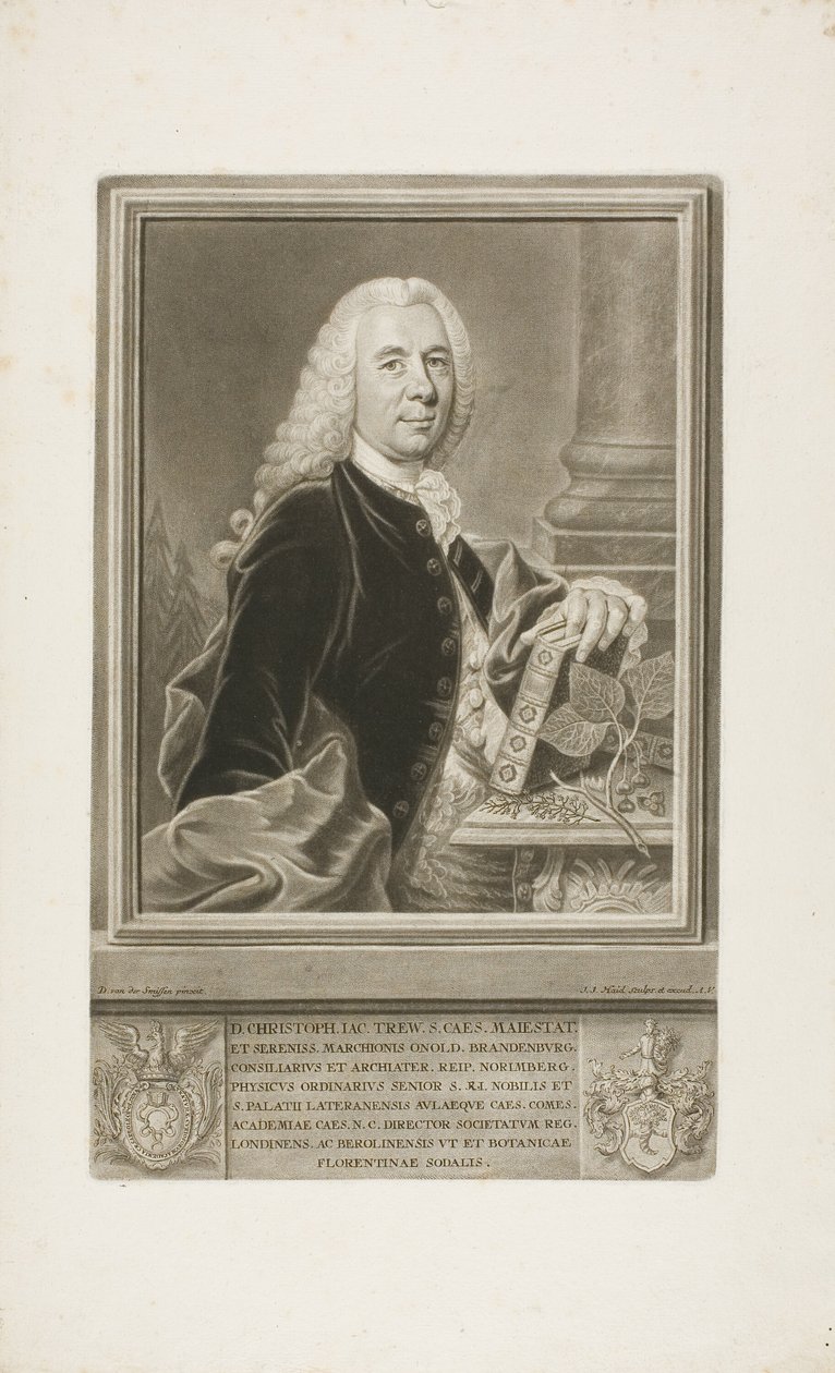 D. Christopher Jacob Trew, de Plantae Selectae - Johann Jacob Haid