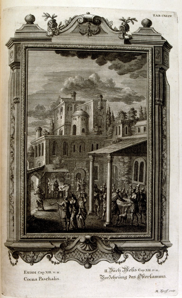 Illustration - Johann Jakob Scheuchzer
