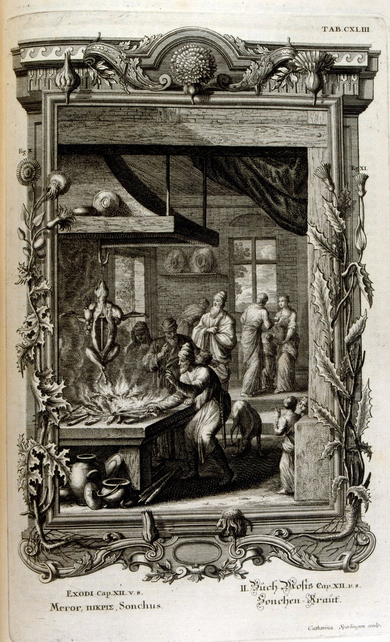 Illustration de Physique sacrée, ou Histoire-naturelle de la Bible - Johann Jakob Scheuchzer