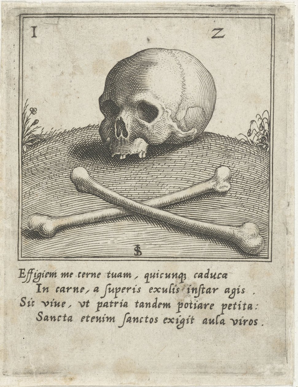Vanité avec un crâne et deux os - Johann Sadeler (I)